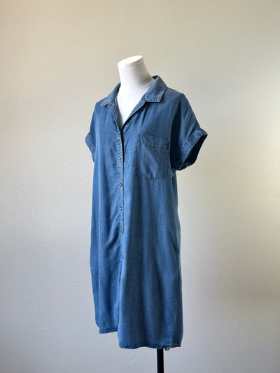 Amity Chambray Dress