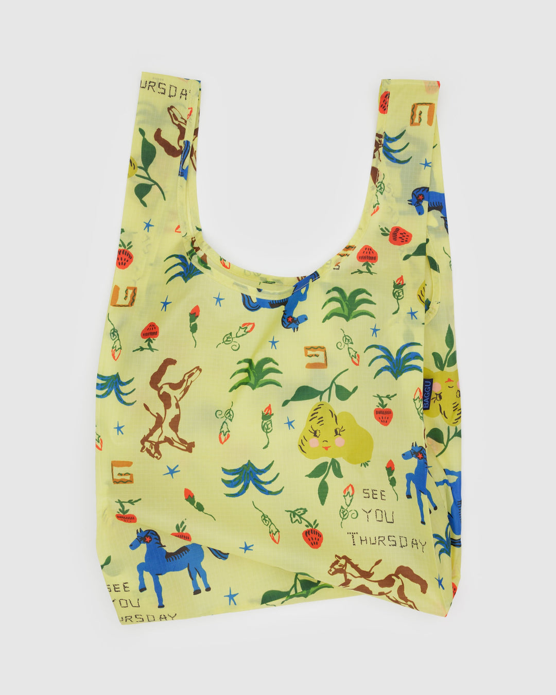 Painted Prairie Standard Baggu