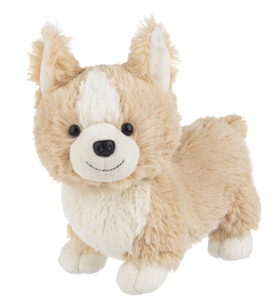 Corgi Webkinz