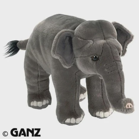 Asian Elephant Webkinz