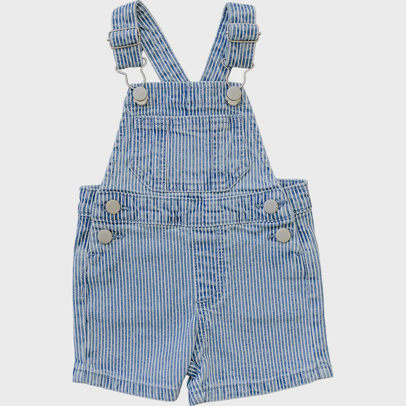 Stripe Overalls