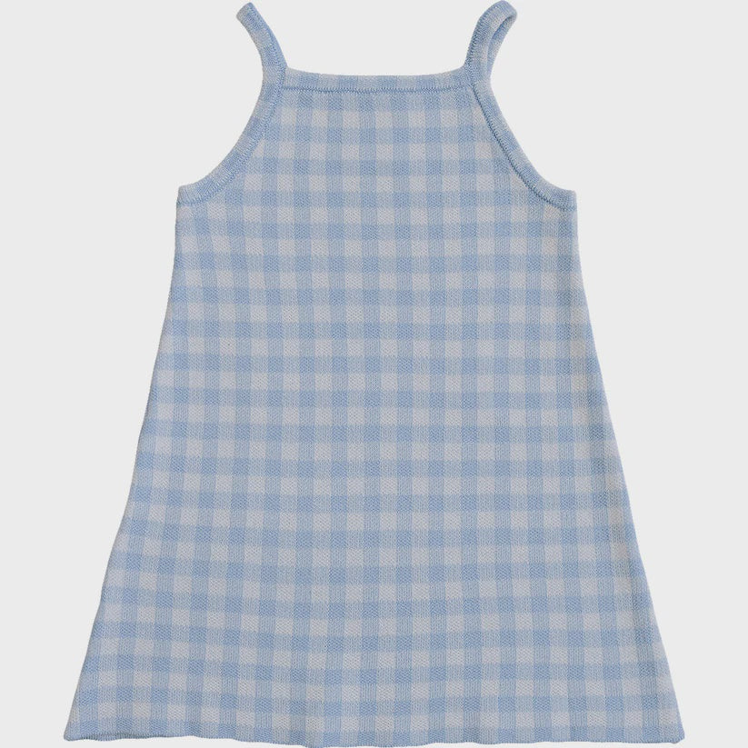 Blue Gingham Knit Dress