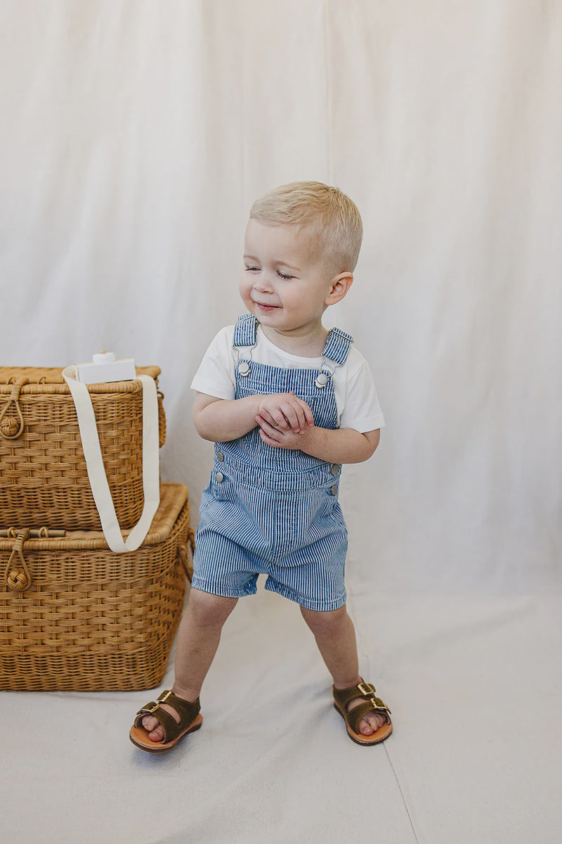 Blue Stripe Overall Shorts