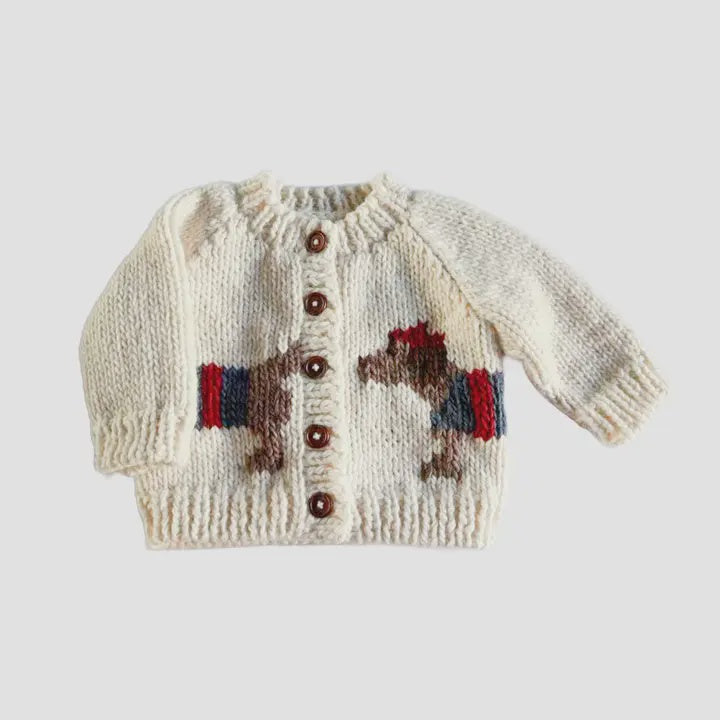 Dachshund Cardigan