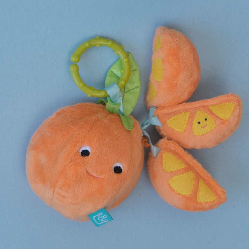 Mini Orange Toy