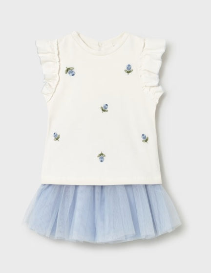 Girls Top & Tutu Set