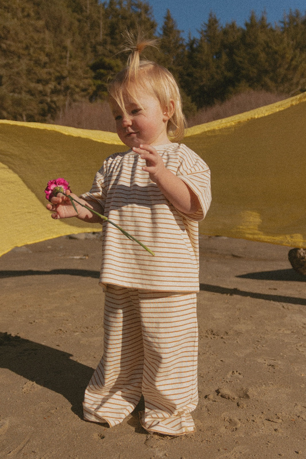 Vanilla Stripe Sawyer Set